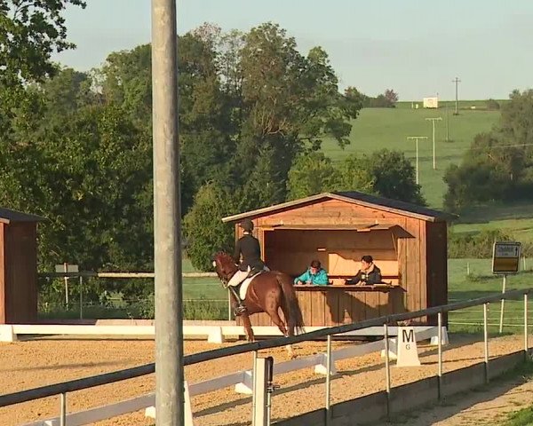 Reitturnier Altentrüdingen/Mfr. 2023