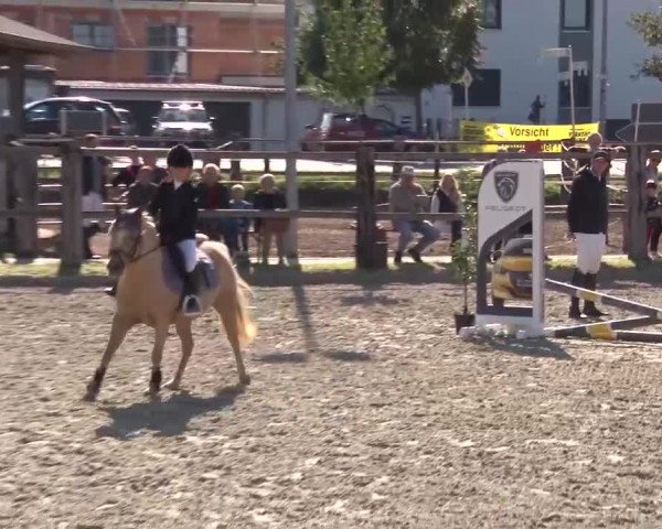 Reitturnier Poxdorf/Ofr 2023