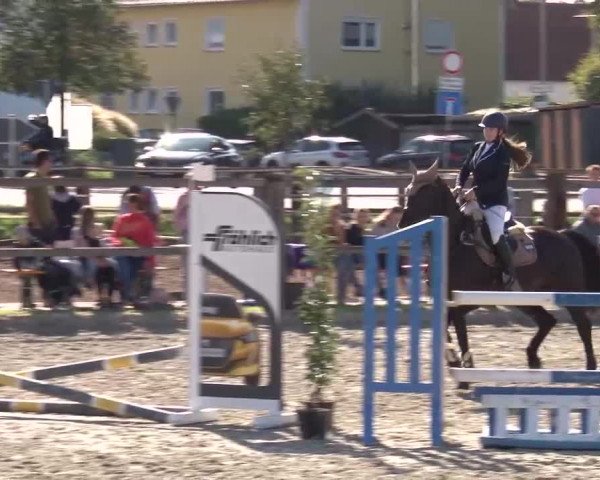 Reitturnier Poxdorf/Ofr 2023