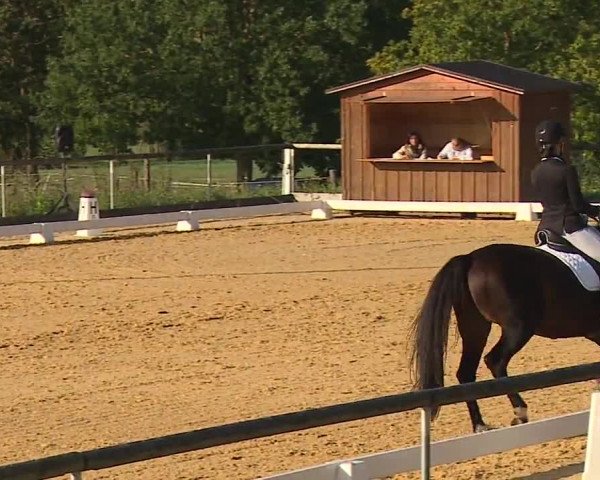 Reitturnier Altentrüdingen/Mfr. 2023