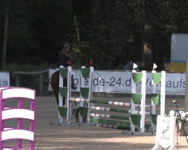 Reitturnier Ranshofen - Braunau am Inn 2023