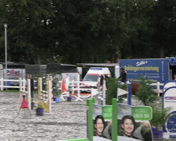 Reitturnier Mildstedt - JTN 2023