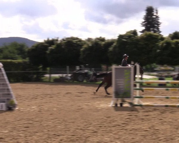 Reitturnier Birkungen 2023