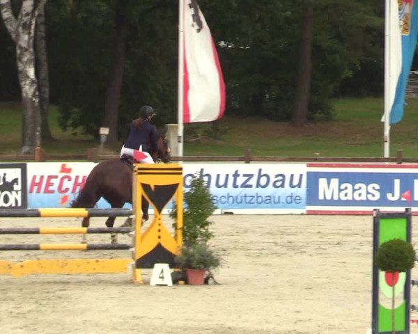 Reitturnier Westergellersen 2023