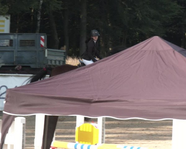 Reitturnier Ranshofen - Braunau am Inn 2023