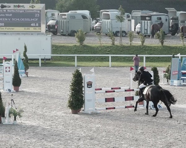 Pferdesporttage Bülach 2021
