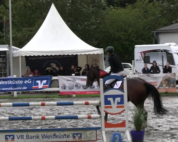 Reitturnier Mildstedt - JTN 2023