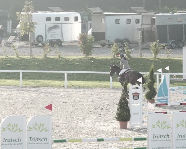 Pferdesporttage Bülach 2021