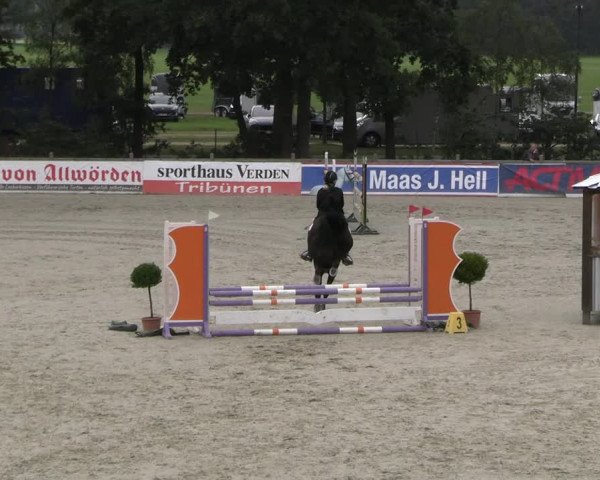 Reitturnier Westergellersen 2023