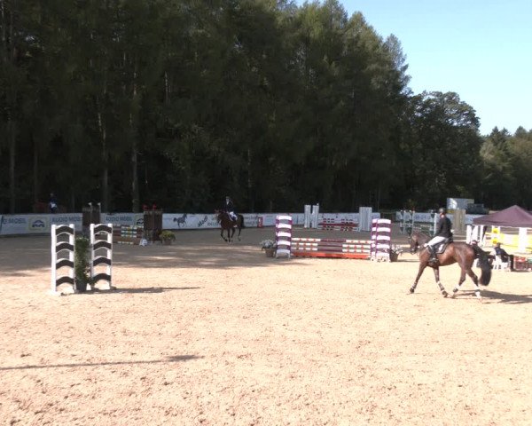 Reitturnier Ranshofen - Braunau am Inn 2023