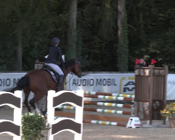 Reitturnier Ranshofen - Braunau am Inn 2023
