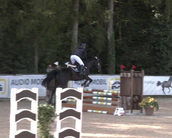 Reitturnier Ranshofen - Braunau am Inn 2023