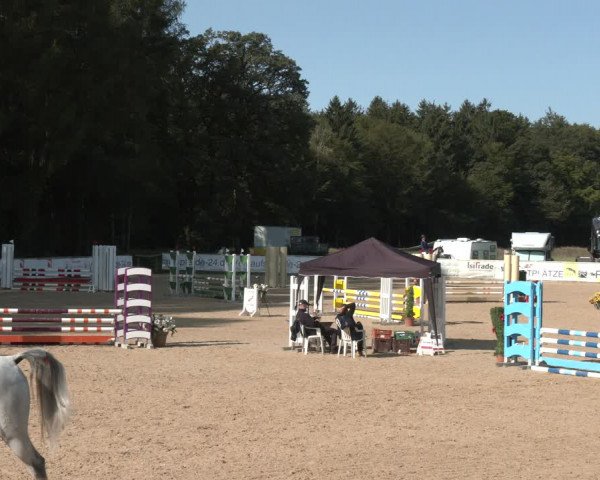 Reitturnier Ranshofen - Braunau am Inn 2023