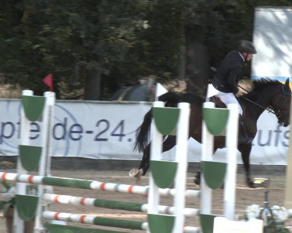 Reitturnier Ranshofen - Braunau am Inn 2023