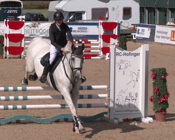 Reitturnier Ranshofen - Braunau am Inn 2023