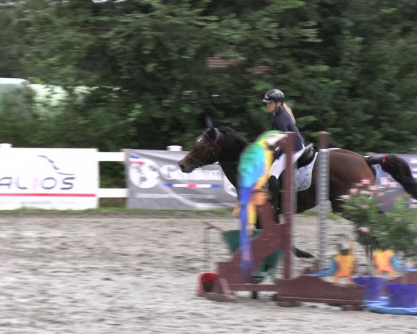 Reitturnier Mildstedt - JTN 2023