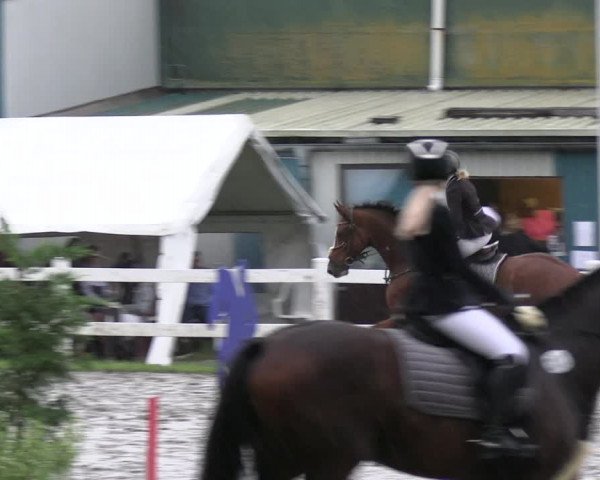 Reitturnier Mildstedt - JTN 2023