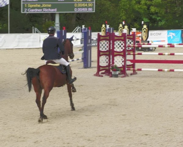 Reitturnier Karlsfeld 2023