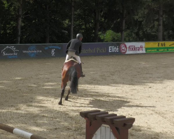 Reitturnier Karlsfeld 2023