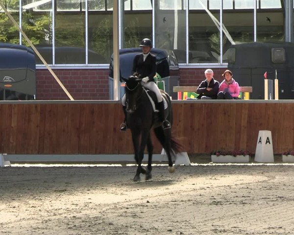 Reitturnier Langenfeld - Gut Langfort 2023