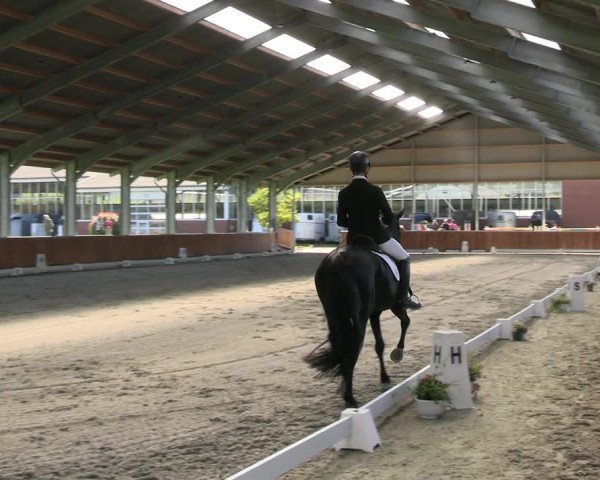 Reitturnier Langenfeld - Gut Langfort 2023