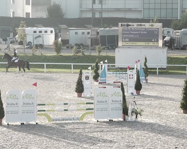 Pferdesporttage Bülach 2021