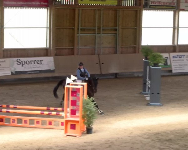 Reitturnier Winterthur 2023