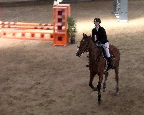 Reitturnier Winterthur 2023