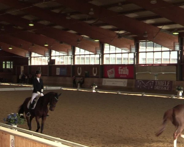 Reitturnier Köln-Leverkusen 2023