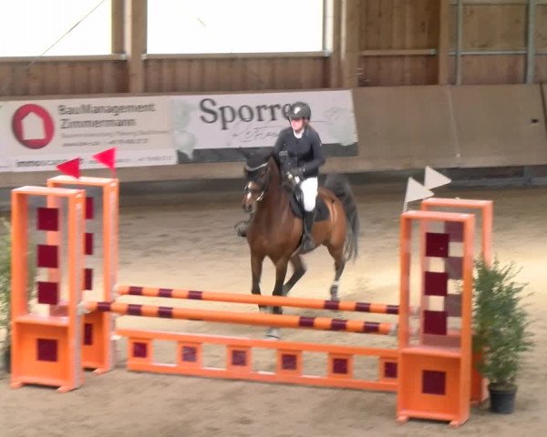 Reitturnier Winterthur 2023