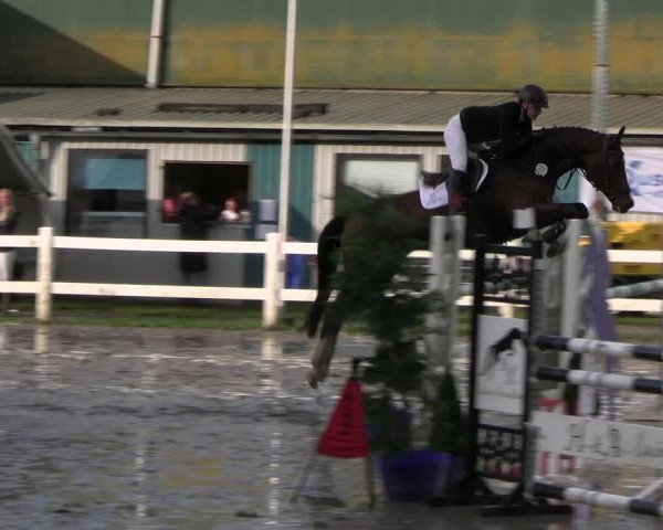Reitturnier Mildstedt - JTN 2023