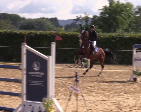 Reitturnier Birkungen 2023