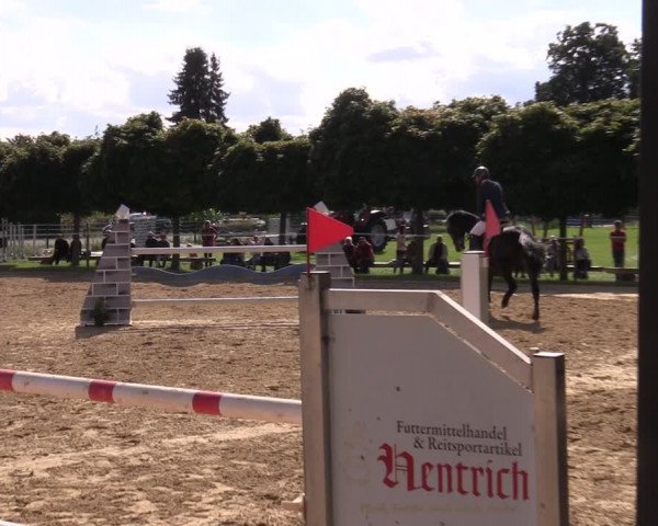 Reitturnier Birkungen 2023