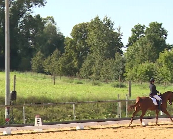 Reitturnier Altentrüdingen/Mfr. 2023