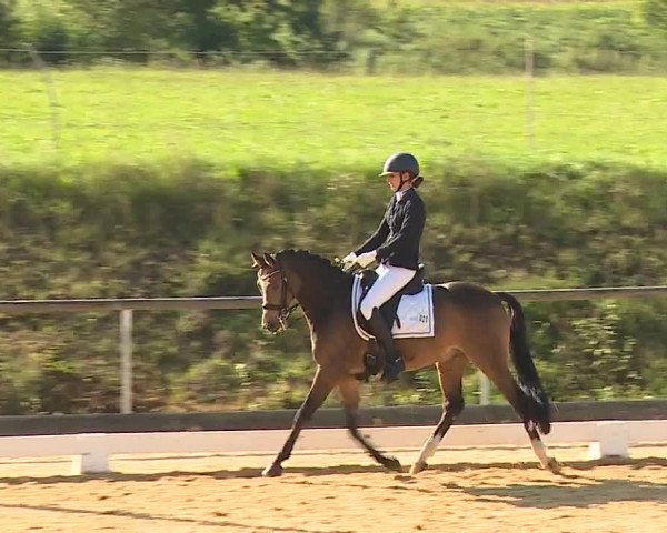 Reitturnier Altentrüdingen/Mfr. 2023