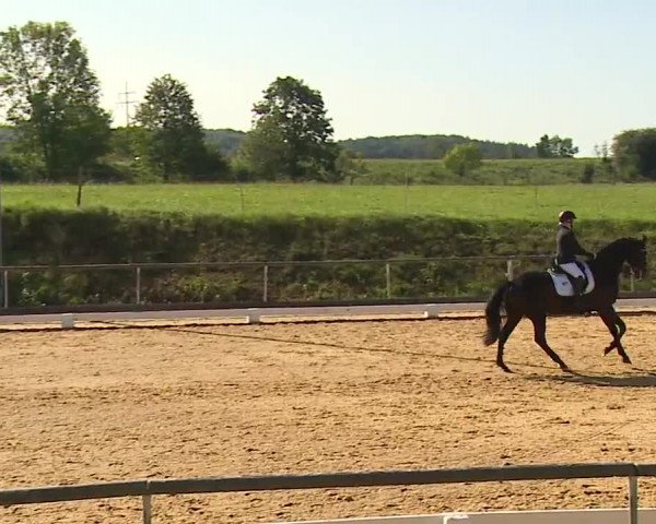 Reitturnier Altentrüdingen/Mfr. 2023