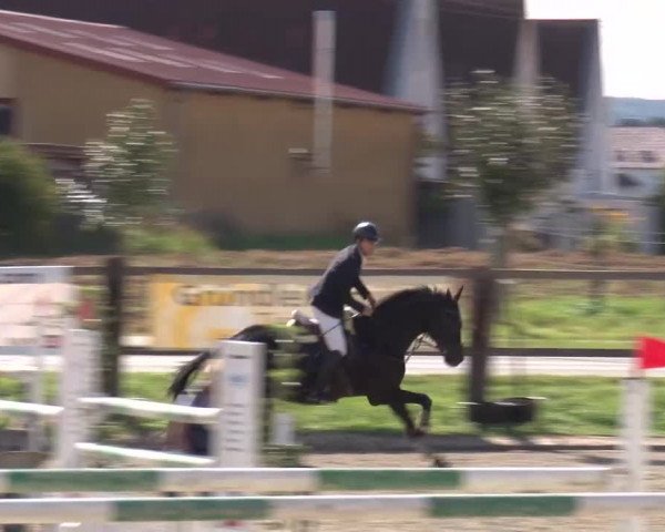 Reitturnier Poxdorf/Ofr 2023