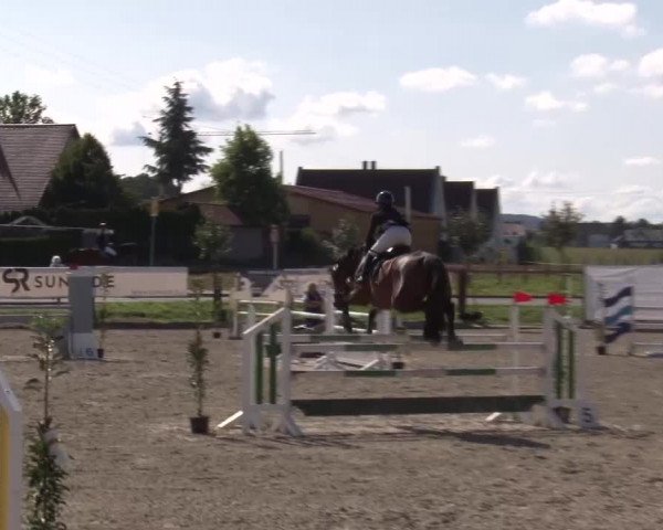 Reitturnier Poxdorf/Ofr 2023