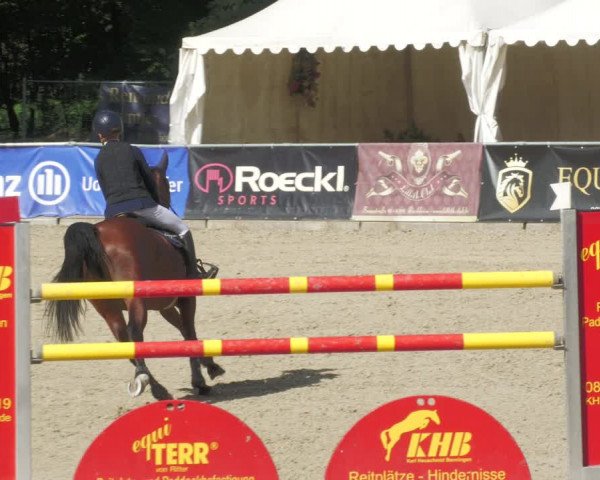 Reitturnier Karlsfeld 2023