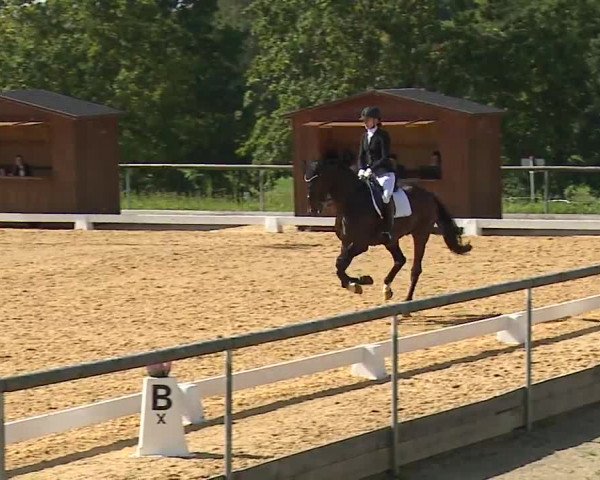 Reitturnier Altentrüdingen/Mfr. 2023