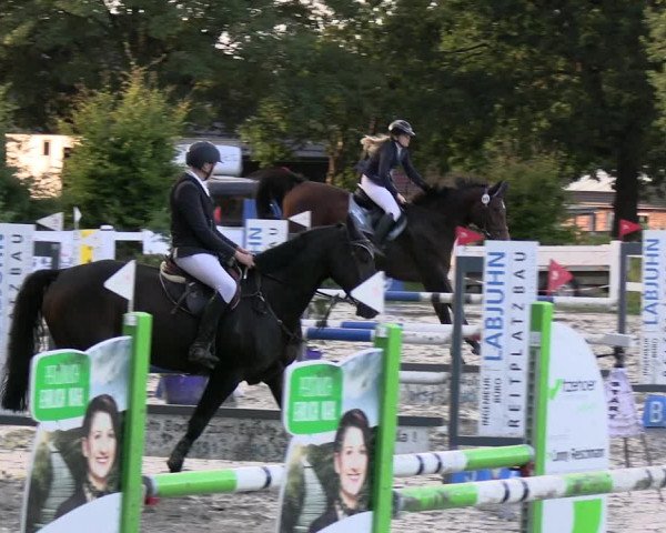 Reitturnier Mildstedt - JTN 2023