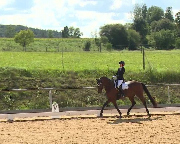 Reitturnier Altentrüdingen/Mfr. 2023