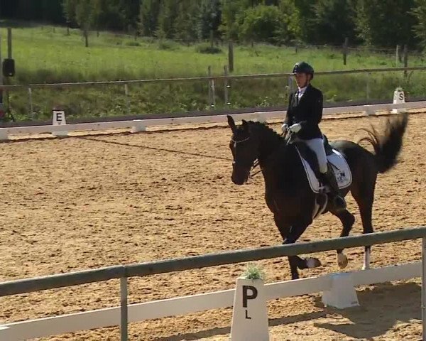 Reitturnier Altentrüdingen/Mfr. 2023
