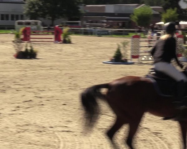 Reitturnier Langenfeld - Gut Langfort 2023