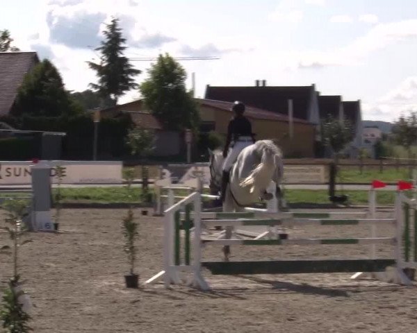 Reitturnier Poxdorf/Ofr 2023
