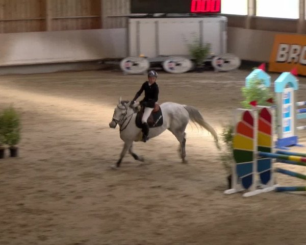 Reitturnier Winterthur 2023