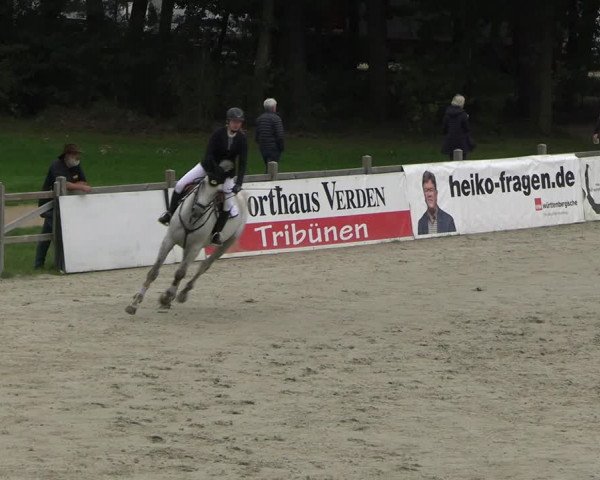 Reitturnier Westergellersen 2023