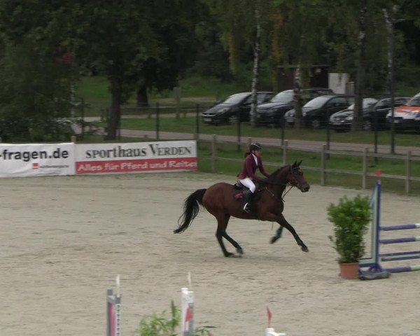 Reitturnier Westergellersen 2023
