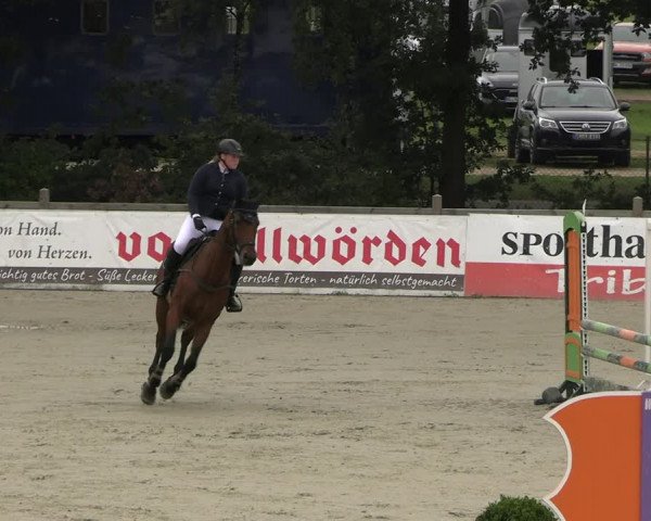 Reitturnier Westergellersen 2023