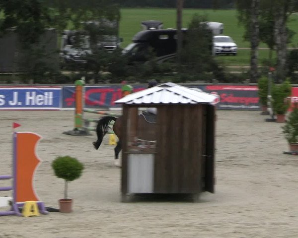 Reitturnier Westergellersen 2023
